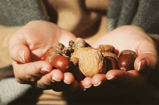 Mains tenant des noix, l'un des aliments bons pour le cœur conseillés par Kineo.