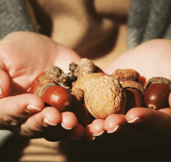 Mains tenant des noix, l'un des aliments bons pour le cœur conseillés par Kineo.